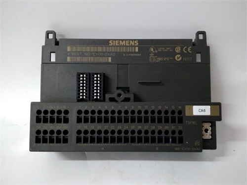 SIEMENS 6ES193-1CH10-0XA0 